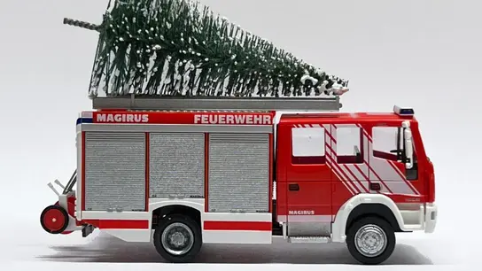Sammlung der Weihnachtsbäume. (Foto: Freiwillige Feuerwehr Beverungen)
