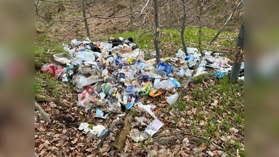Illegale Müllentsorgung im Wald. (Foto: Forstamt Reinhardshagen)