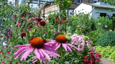 In Beverungen gibt es viele wunderschöne, lebendige Gärten.  (Foto: Barbara Siebrecht)