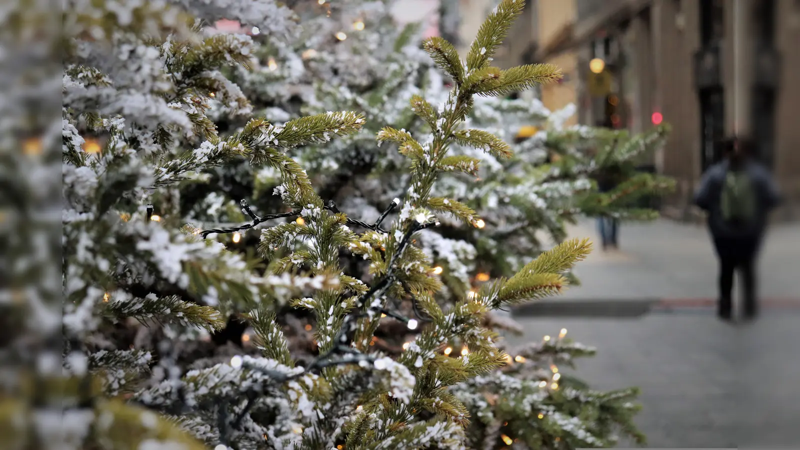 Wohin mit dem Weihnachtsbaum nach den Feiertagen? (Foto: Pixabay)
