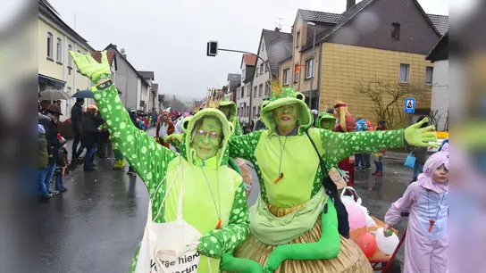 Carneval an der Weser (Foto: Peter Vössing)