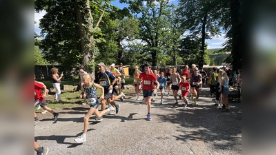Die Strecke über fünf Kilometer absolvierten über 180 Läuferinnen und Läufer. (Foto: Julia Sürder)