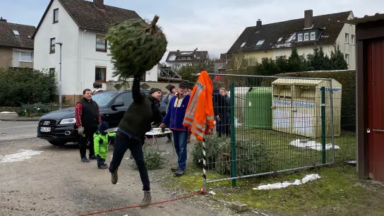 Weihnachtsbaum anliefern mal anders: Sportlich ging es zu am Grüngutsammelplatz in Fürstenberg. (Foto: N.Tschirner)