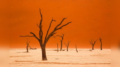 Namibia gilt als das trockenste Land südlich der Sahara. Spannende Einblicke warten. (Foto: privat)